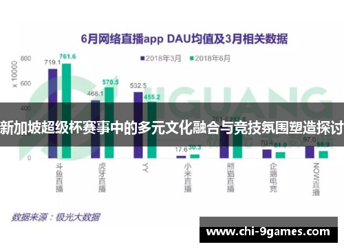 新加坡超级杯赛事中的多元文化融合与竞技氛围塑造探讨